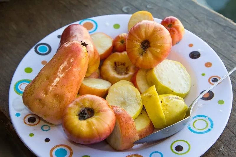 未加工腰果苹果食用的危险：一个警示故事