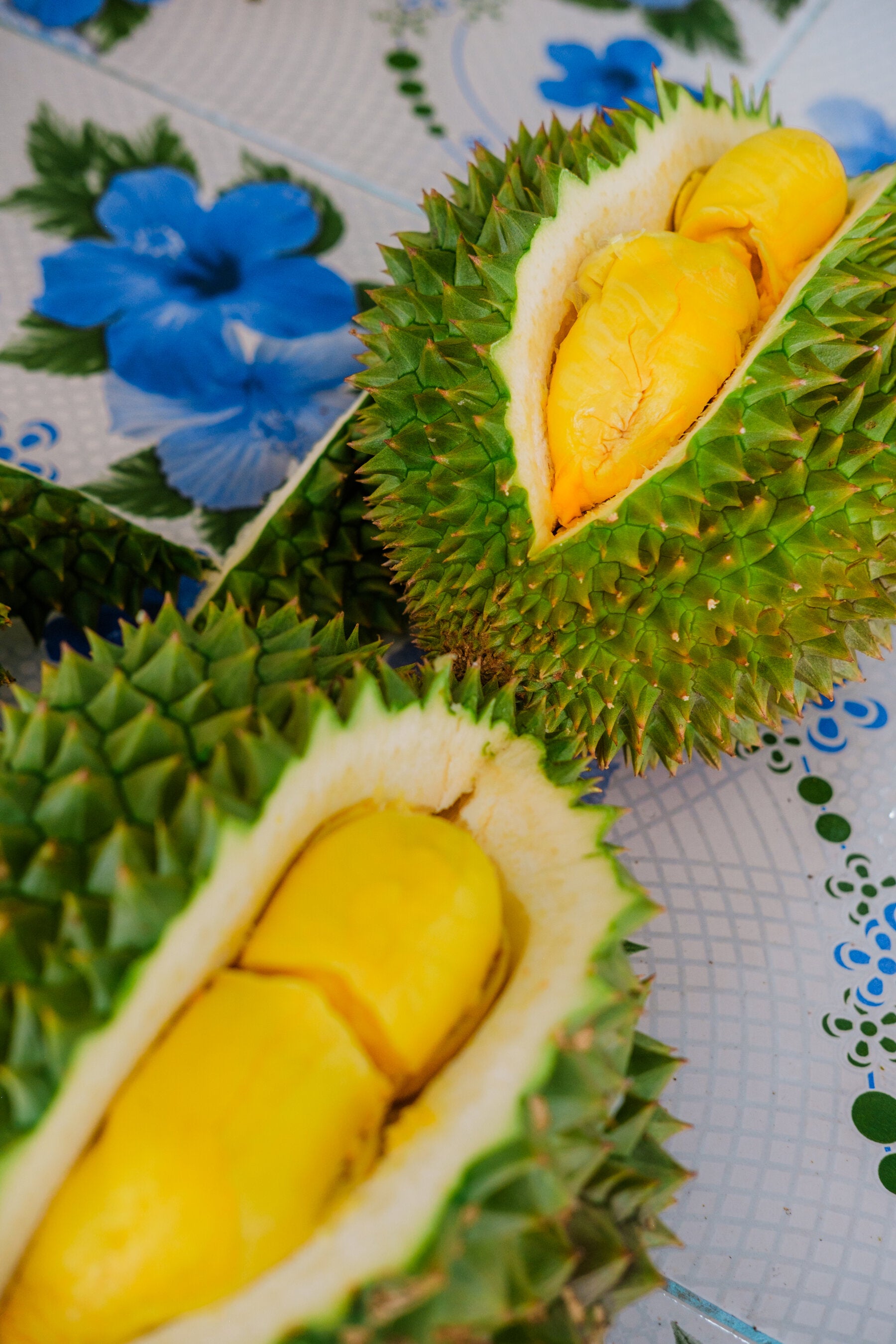 China's Durian Craze Transforming Southeast Asian Economies