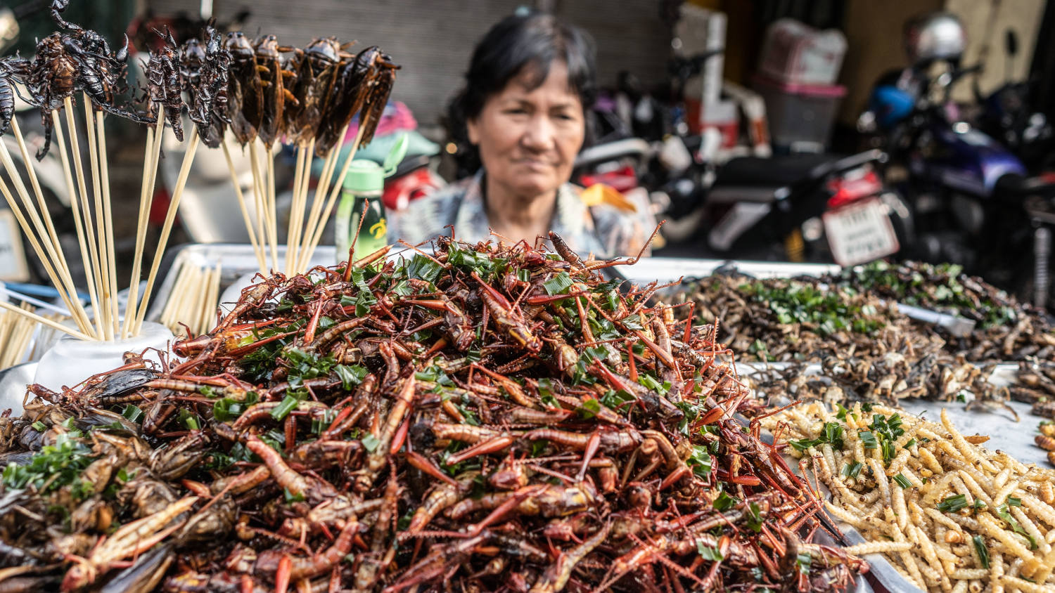 Singapore Approves Insect Species for Food Diversification