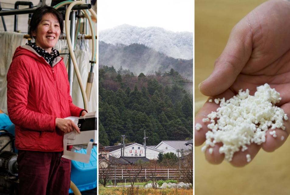 Female Sake Brewer Overcomes Earthquake Challenges