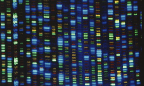 New Genetic Disorder RNU4-2 Identified, Offering Hope for Diagnosis and Treatment