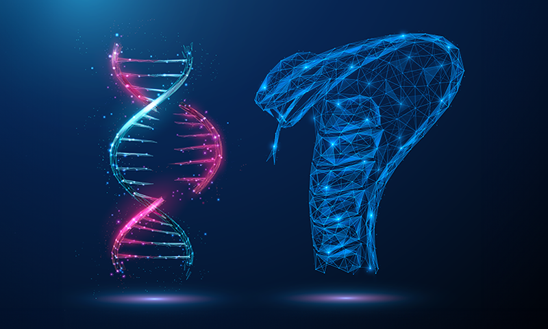 CRISPR Technology Applied to Treat Cobra Bites