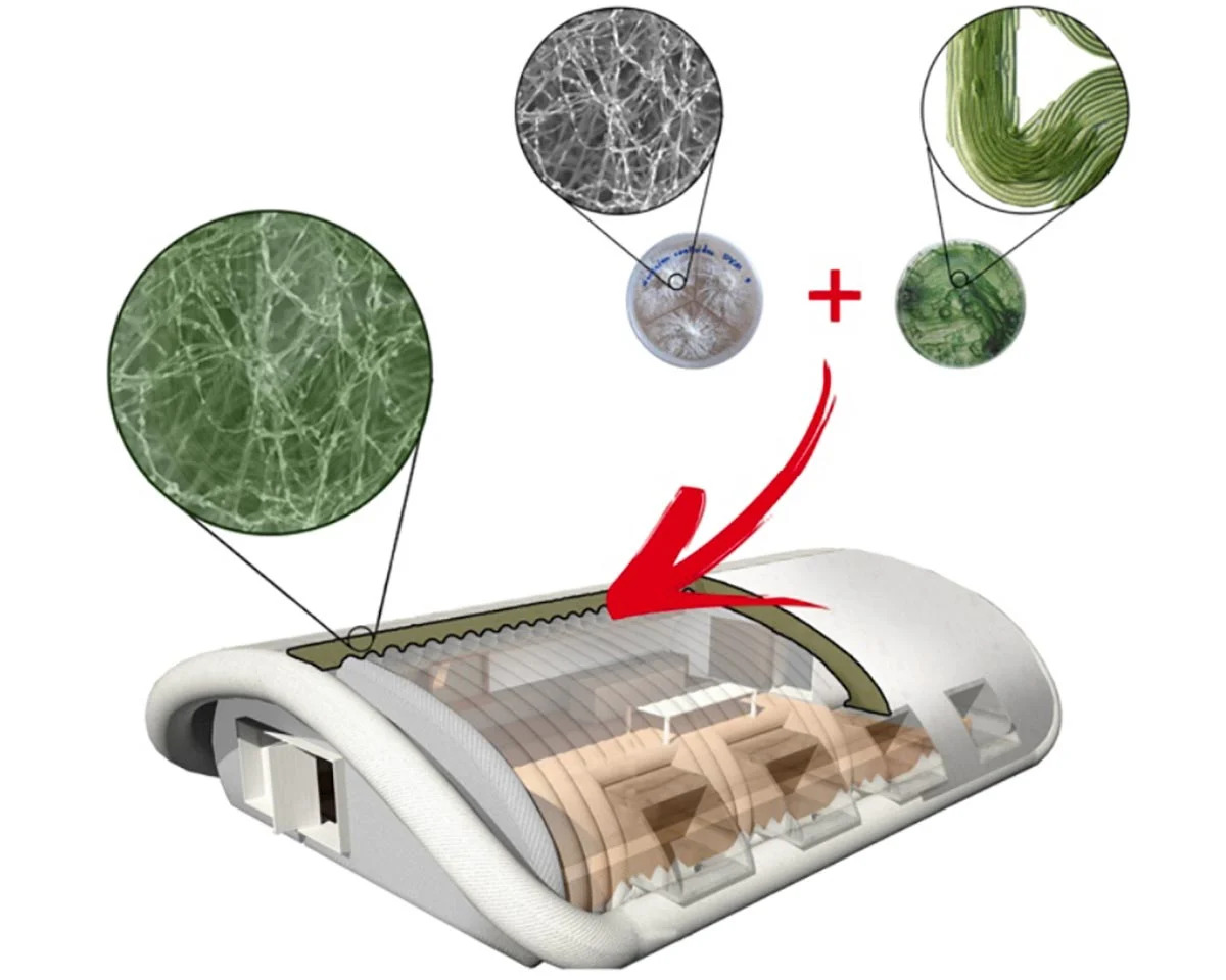 NASA Pioneers Fungi-Based Habitat Construction for Lunar and Mars Missions