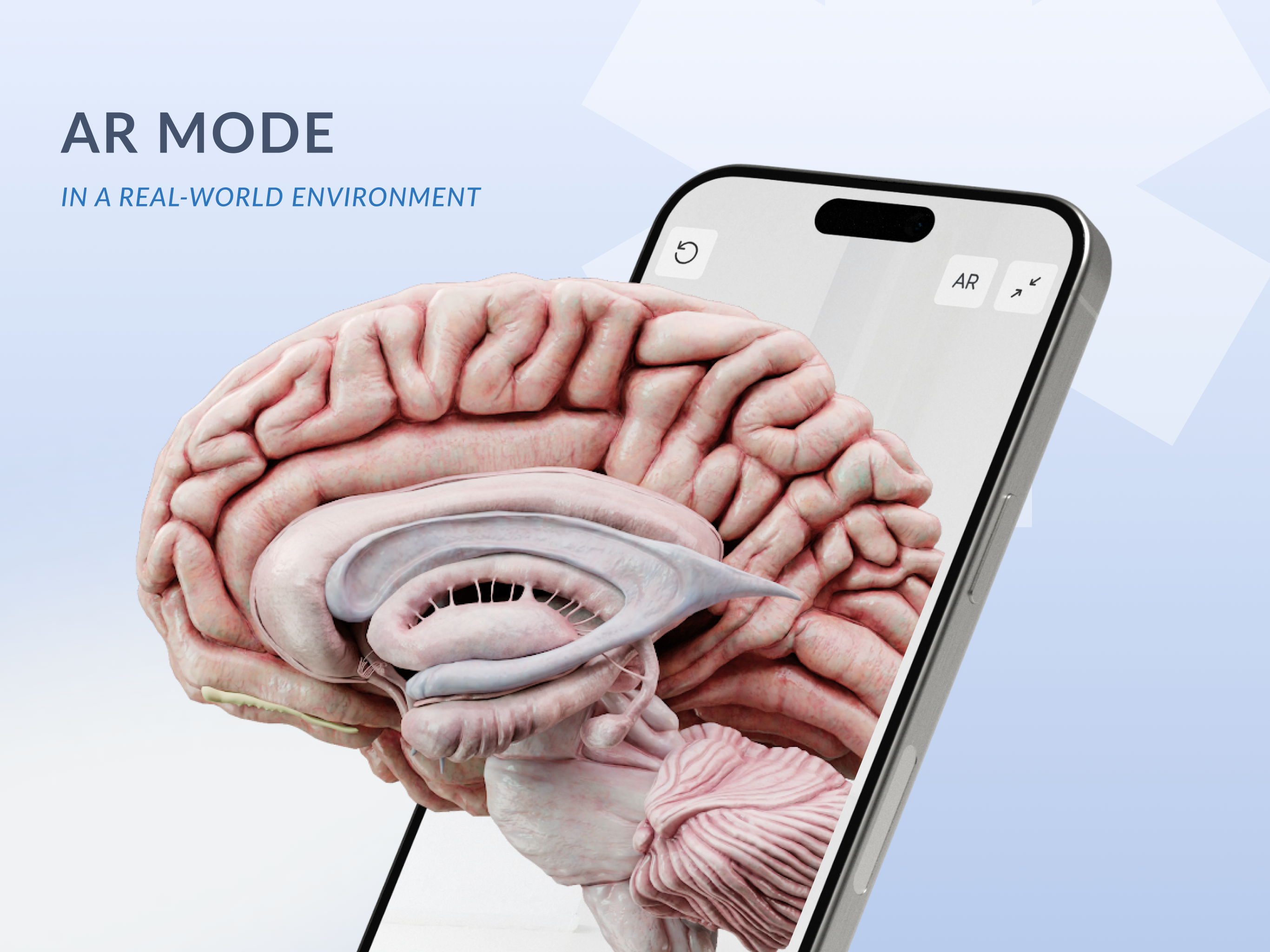 Advanced 3D Medical Imaging: Bridging Normal Anatomy with Pathological Insights