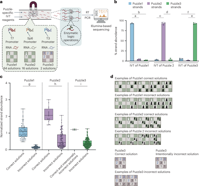 DNA Technology for Long-term Data Storage and Computing