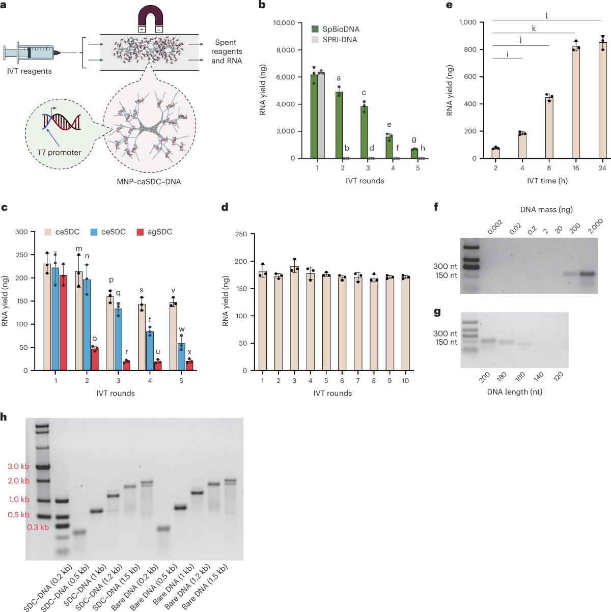 DNA Technology for Long-term Data Storage and Computing