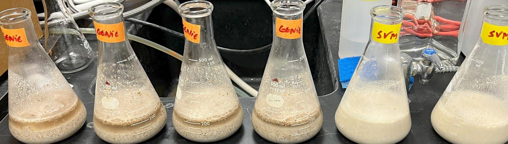 Microgravity Enhances Yeast Fermentation for Better Beer