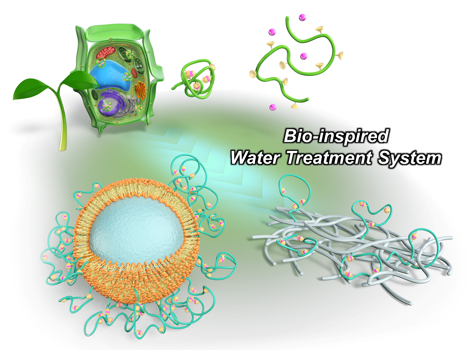 Kyoto University develops new polymer material for efficient removal of heavy metals from wastewater.