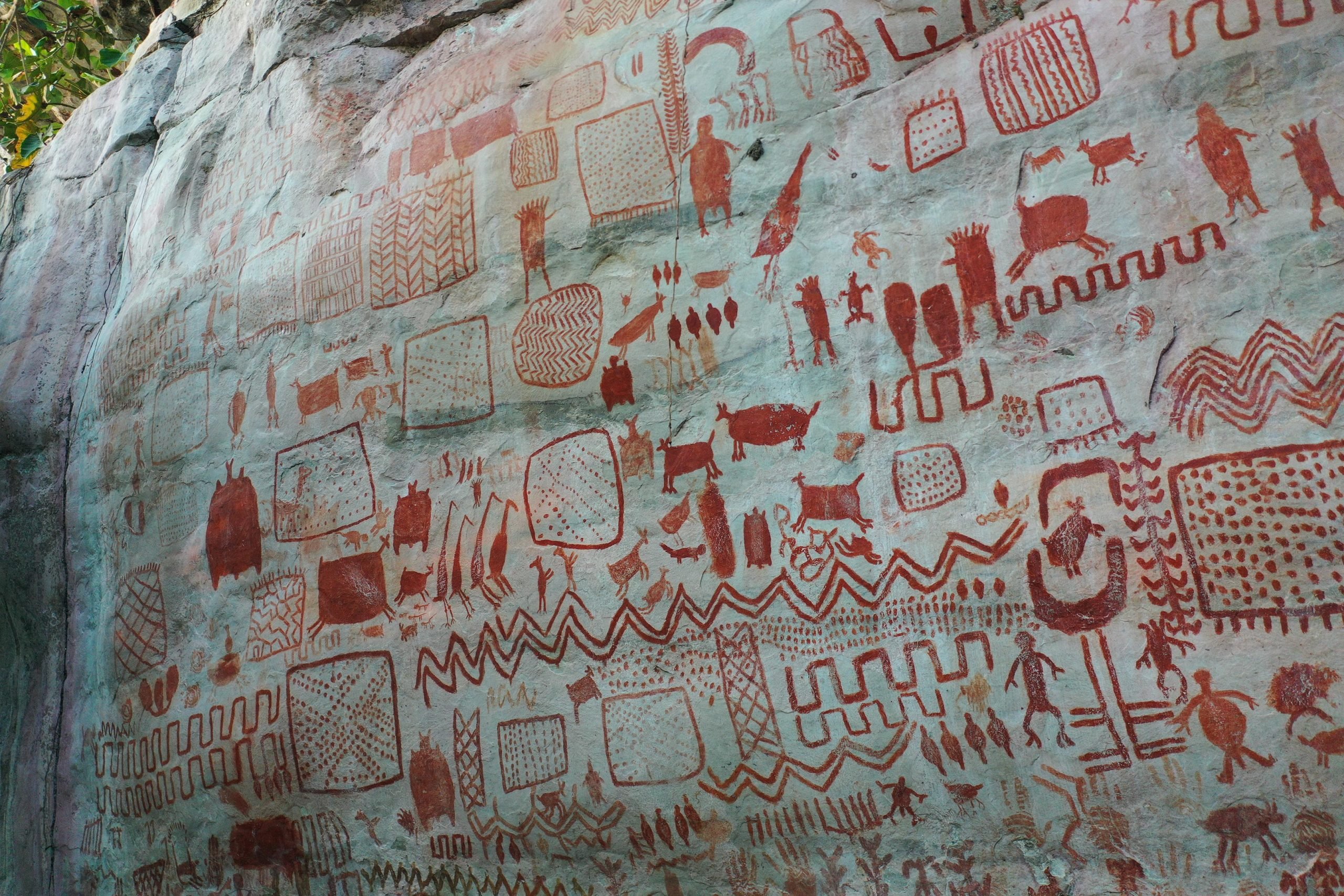 Ancient Amazonian Rock Art Reveals Early Human-Animal Relationships