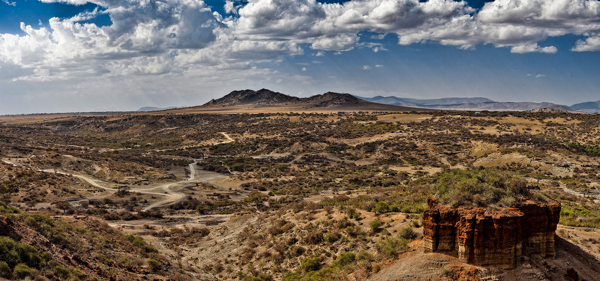 Expanding the Search for Human Fossils: Beyond the Rift Valley