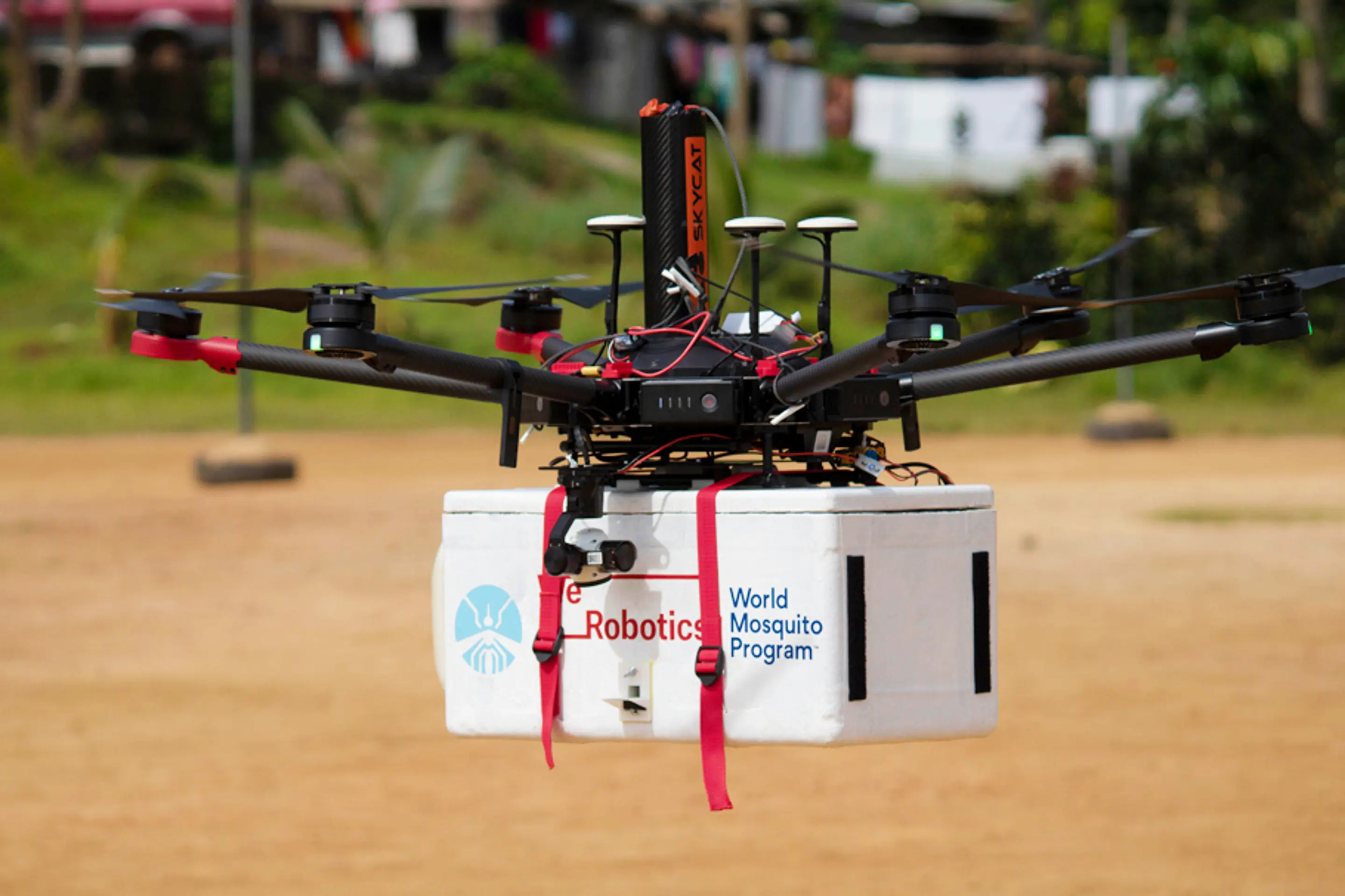 Drone-Dropped Mosquitoes Combat Dengue Fever