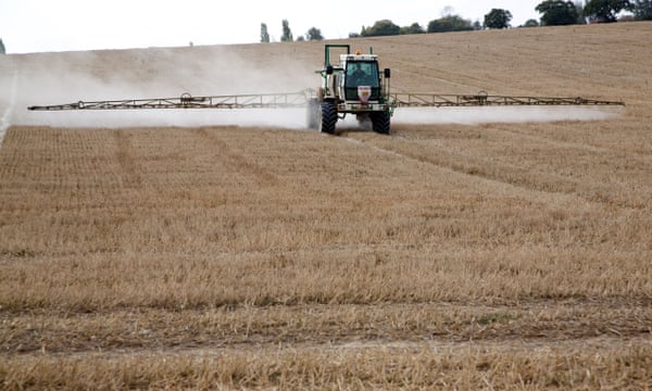 UK Allows Higher Pesticide Residues on Food Post-Brexit