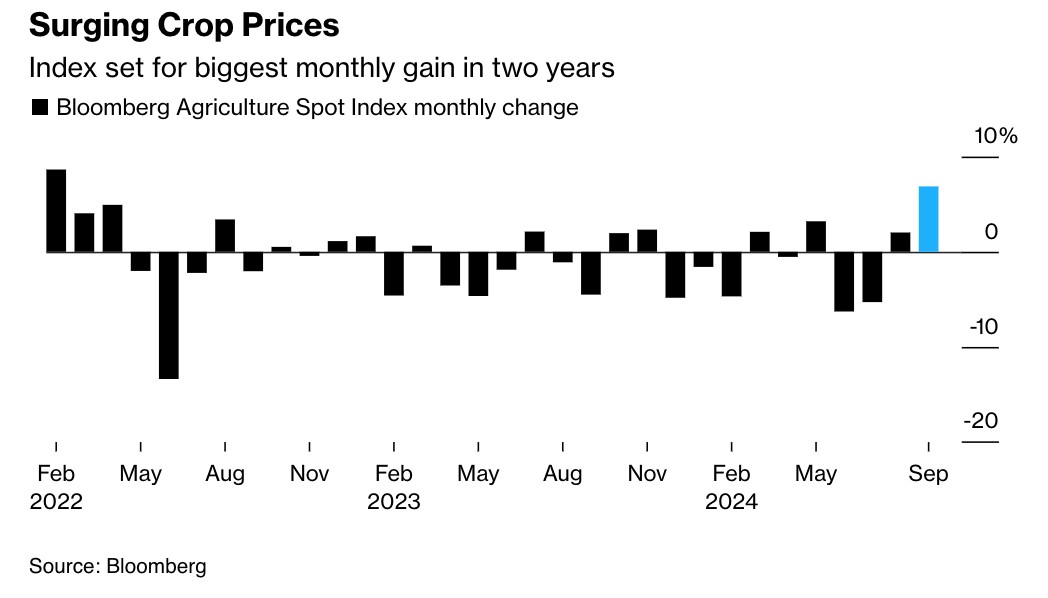 Extreme weather and geopolitical risks converge, putting upward pressure on global food prices.