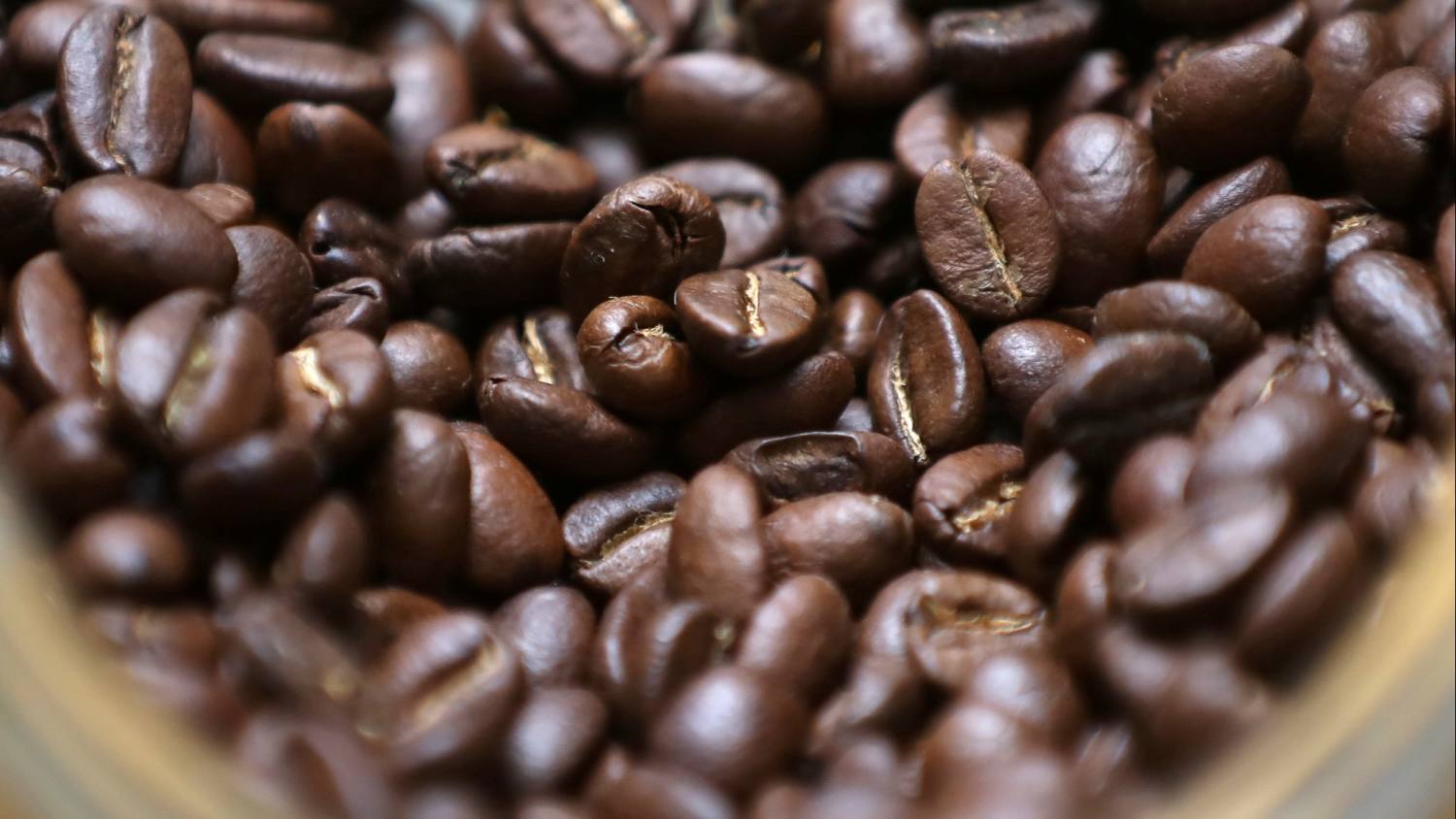 Laos Pioneers Green Hydrogen Coffee Roasting Project