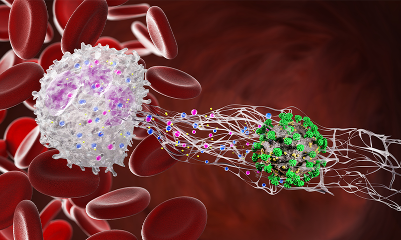 Understanding the Diverse Modes of Cell Death in the Human Body