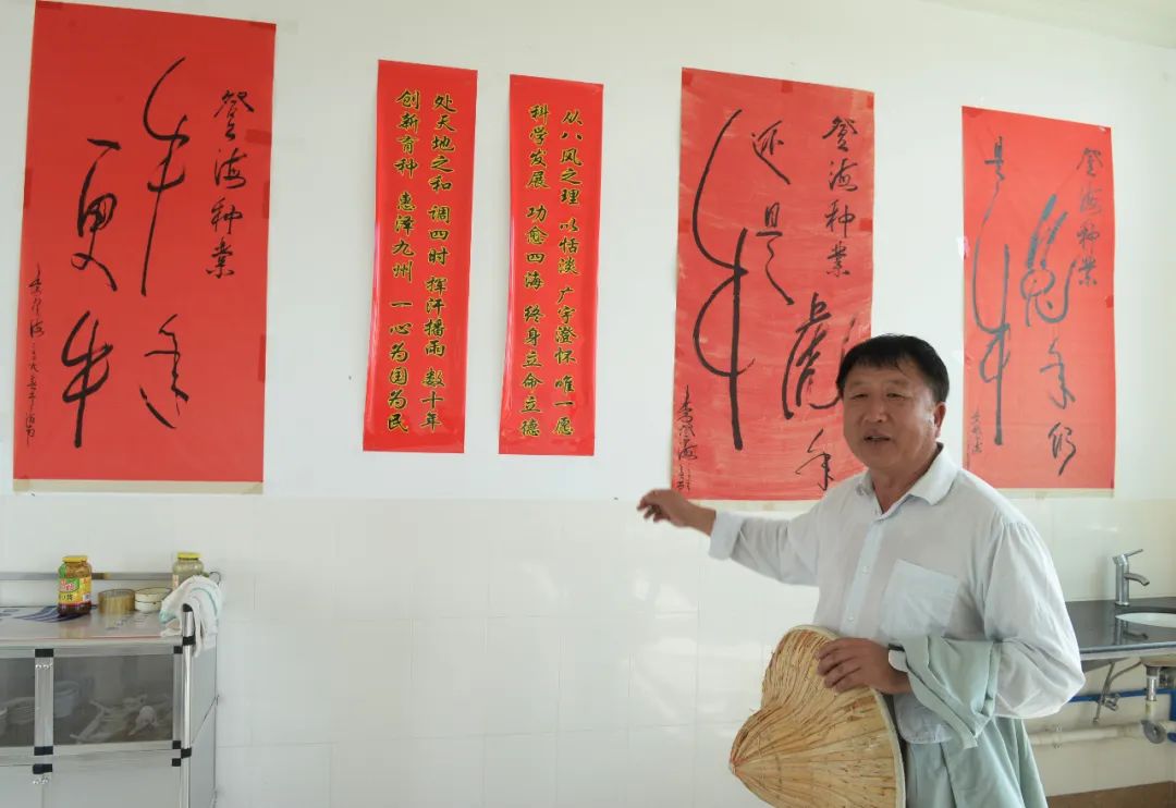 Li Denghai: The Journey from Junior High School Graduate to Expert in Corn Breeding